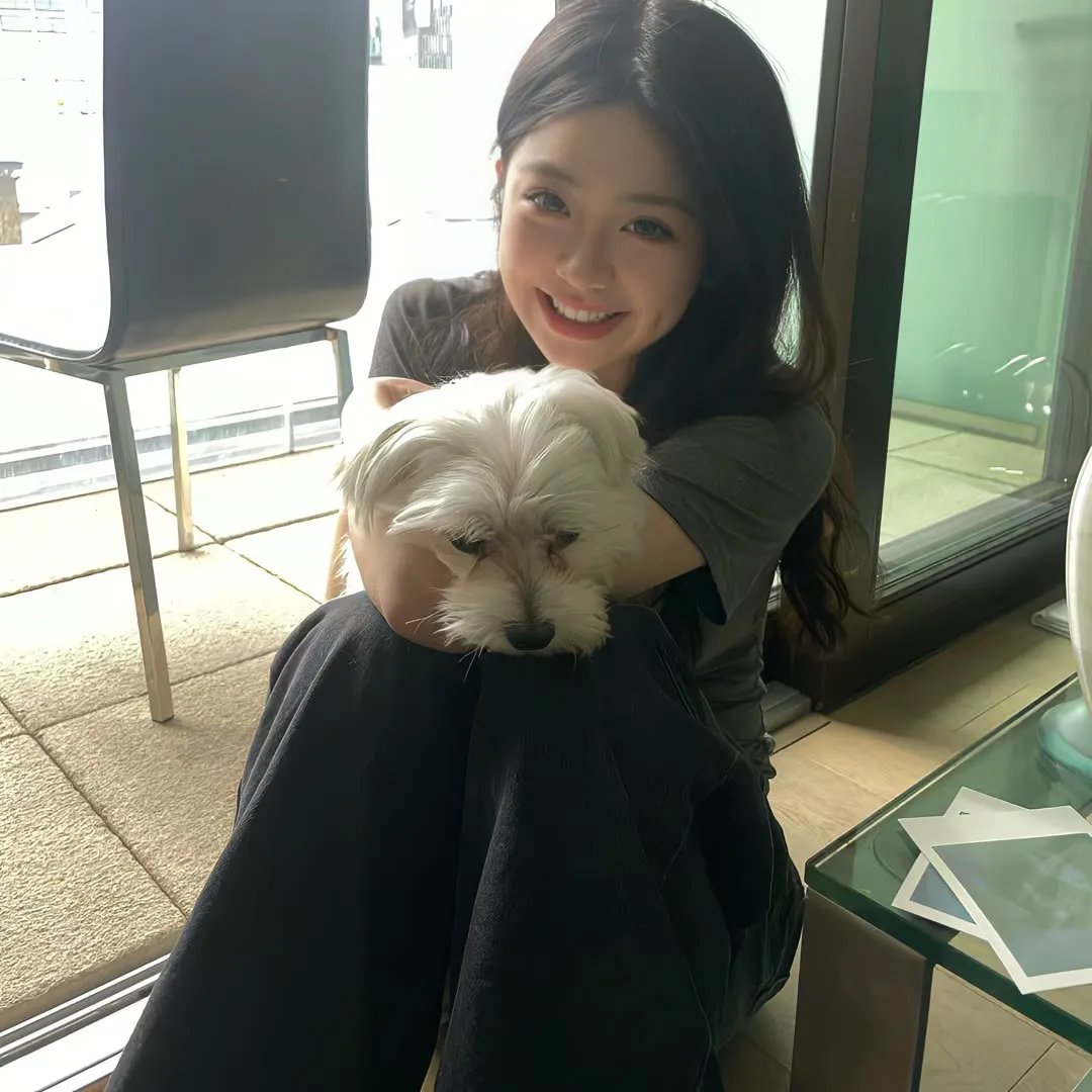 光影之妓